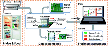 Graphical abstract: Real-time assessment of food freshness in refrigerators based on a miniaturized electronic nose