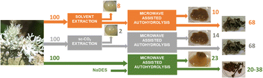 Graphical abstract: Alternatives for the extraction of bioactives and biopolymers from Evernia prunastri for the formulation of antimicrobial bio-based films