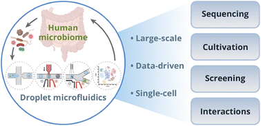 Graphical abstract: Droplet microfluidics: unveiling the hidden complexity of the human microbiome