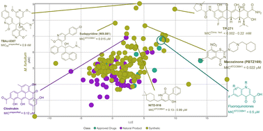 Graphical abstract: Advances in antibacterial agents for Mycobacterium fortuitum