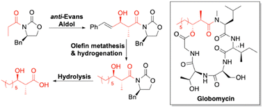 Graphical abstract: A novel approach for the synthesis of the cyclic lipopeptide globomycin