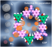 Graphical abstract: Chemically robust functionalized covalent organic framework for the highly efficient and selective separation of bromine