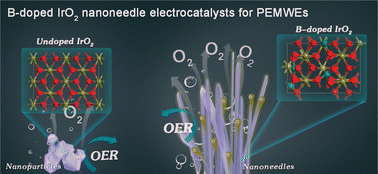 Graphical abstract: A porous network of boron-doped IrO2 nanoneedles with enhanced mass activity for acidic oxygen evolution reactions