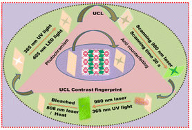 Graphical abstract: Dual-function applications of photochromic BiNbO4:Er3+ ceramics based on reversible upconversion luminescence modulation