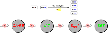 Graphical abstract: Photoinduced Ullmann-type cross-coupling reactions: mechanistic insights and emerging challenges