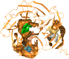 Graphical abstract: Functionally active modulators targeting the LRRK2 WD40 repeat domain identified by FRASE-bot in CACHE Challenge #1