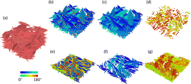 Graphical abstract: Co-assembly of cellulose nanocrystals and gold nanorods: insights from molecular dynamics modelling