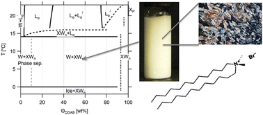 Graphical abstract: Physical science of the didodecyldimethylammonium bromide–water system: 1. Equilibrium phase behaviour