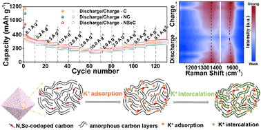 Graphical abstract: N,Se co-doping strategy to boost the K+ storage performance of metal organic framework-derived 3D amorphous carbon