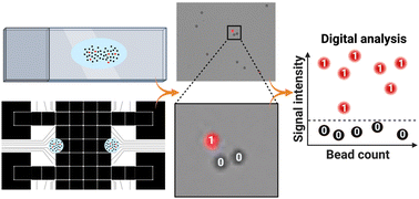 Graphical abstract: A compartmentalization-free microfluidic digital assay for detecting picogram levels of protein analytes