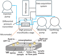 Graphical abstract: Mechanistic understanding of carbon mineralization in fracture systems using microfluidics