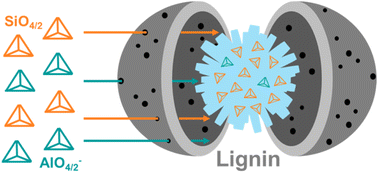 Graphical abstract: Eco-designed ZSM-5 zeolites: biomass-assisted modifications and catalytic evaluation through model reactions