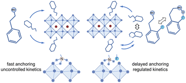 Graphical abstract: Intramolecular hydrogen bonds assist in controlling the quantum well distribution in quasi-2D perovskites for efficient pure-blue perovskite light-emitting diodes