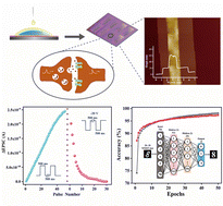 Graphical abstract: Solution-processed self-assembling charge-transfer cocrystal/TIPS-pentacene heterojunctions for artificial synapses