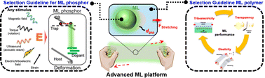 Graphical abstract: Minimizing barriers to efficient mechanoluminescence via polymer matrix integration