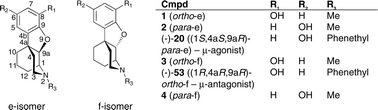 Graphical abstract: Synthesis and pharmacological effects of the enantiomers of the N-phenethyl analogues of the ortho and para e- and f-oxide-bridged phenylmorphans
