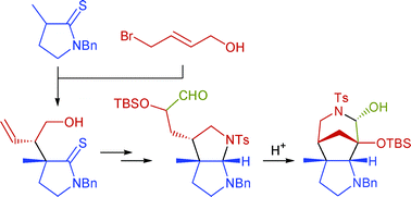 Graphical abstract: Concise synthesis of bicyclic aminals and their evaluation as precursors to the sarain core