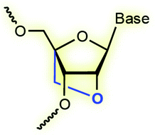 Graphical abstract: Locked nucleic acid: tighter is different