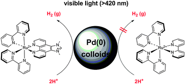Graphical abstract: Ruthenium(ii) complexes incorporating the bidentate ligand containing an imidazolium moiety: synthesis, characterization, and electrochemical properties and their application in a visible-light induced hydrogen-evolving system
