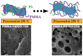 Graphical abstract: Temperature-dependent compatibilizing effect of graphene oxide as a compatibilizer for immiscible polymer blends