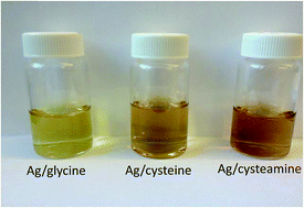 Graphical abstract: Short ligands offer long-term water stability and plasmon tunability for silver nanoparticles