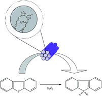 Graphical abstract: Hydrophobic mesoporous silica-supported heteropolyacid induced by ionic liquid as a high efficiency catalyst for the oxidative desulfurization of fuel