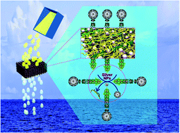 Graphical abstract: PAM/graphene/Ag ternary hydrogel: synthesis, characterization and catalytic application