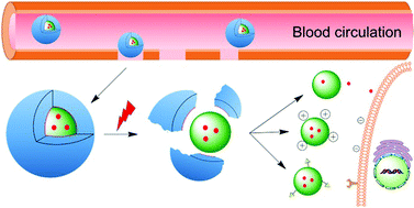 Graphical abstract: Emerging antitumor applications of extracellularly reengineered polymeric nanocarriers