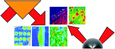 Graphical abstract: Attenuated total reflection Fourier-transform infrared (ATR-FTIR) imaging of tissues and live cells