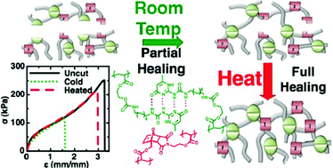 Graphical abstract: Self-healing, malleable and creep limiting materials using both supramolecular and reversible covalent linkages