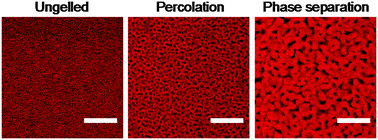 Graphical abstract: Celebrating Soft Matter's 10th Anniversary: Sequential phase transitions in thermoresponsive nanoemulsions