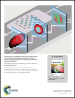 Graphical abstract: Back cover