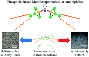 Graphical abstract: Supramolecular assembly of a phosphole-based moiety into nanostructures dictated by alkynylplatinum(ii) terpyridine complexes through non-covalent Pt⋯Pt and π–π stacking interactions: synthesis, characterization, photophysics and self-assembly behaviors