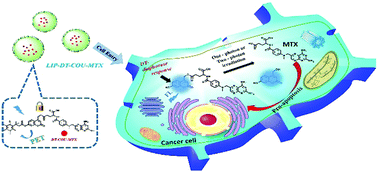 Graphical abstract: A sequential enzyme-activated and light-triggered pro-prodrug nanosystem for cancer detection and therapy