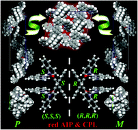 Graphical abstract: 1D-helical platinum(ii) complexes bearing metal-induced chirality, aggregation-induced red phosphorescence, and circularly polarized luminescence