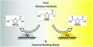 Graphical abstract: Supported gold- and silver-based catalysts for the selective aerobic oxidation of 5-(hydroxymethyl)furfural to 2,5-furandicarboxylic acid and 5-hydroxymethyl-2-furancarboxylic acid