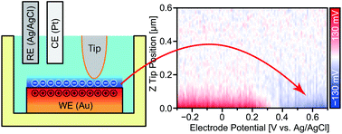 Graphical abstract: Visualizing charges accumulated in an electric double layer by three-dimensional open-loop electric potential microscopy