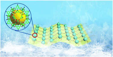Graphical abstract: Photopolymerization of metal–organic polyhedra: an efficient approach to improve the hydrostability, dispersity, and processability