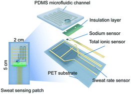 Graphical abstract: A multi-modal sweat sensing patch for cross-verification of sweat rate, total ionic charge, and Na+ concentration