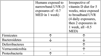 Graphical abstract: Effects of UVR exposure on the gut microbiota of mice and humans