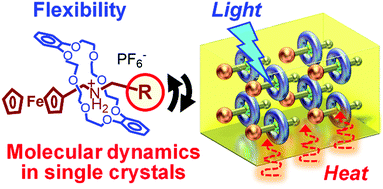 Graphical abstract: Stimuli-responsive dynamic pseudorotaxane crystals