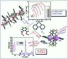 Graphical abstract: Enhanced luminescence and tunable magnetic properties of lanthanide coordination polymers based on fluorine substitution and phenanthroline ligand