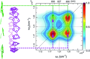 Graphical abstract: Before Förster. Initial excitation in photosynthetic light harvesting