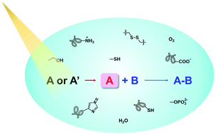 Graphical abstract: Photo-controllable bioorthogonal chemistry for spatiotemporal control of bio-targets in living systems