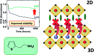 Graphical abstract: Dynamical evolution of the 2D/3D interface: a hidden driver behind perovskite solar cell instability