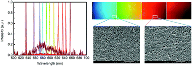 Graphical abstract: A broadban-tunable photonic bandgap and thermally convertible laser with an ultra-low lasing threshold from a refilled chiral polymer template