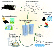 Graphical abstract: Operando vibrational spectroscopy for electrochemical biomass valorization