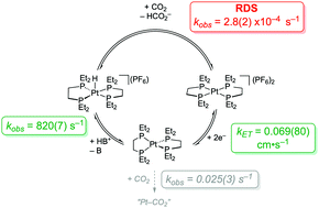 Graphical abstract: Kinetic and mechanistic analysis of a synthetic reversible CO2/HCO2− electrocatalyst