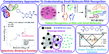 Graphical abstract: Small molecule–RNA targeting: starting with the fundamentals