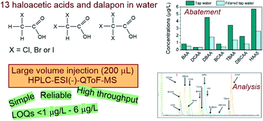 Graphical abstract: High-throughput and reliable determination of 13 haloacetic acids and dalapon in water and evaluation of control strategies